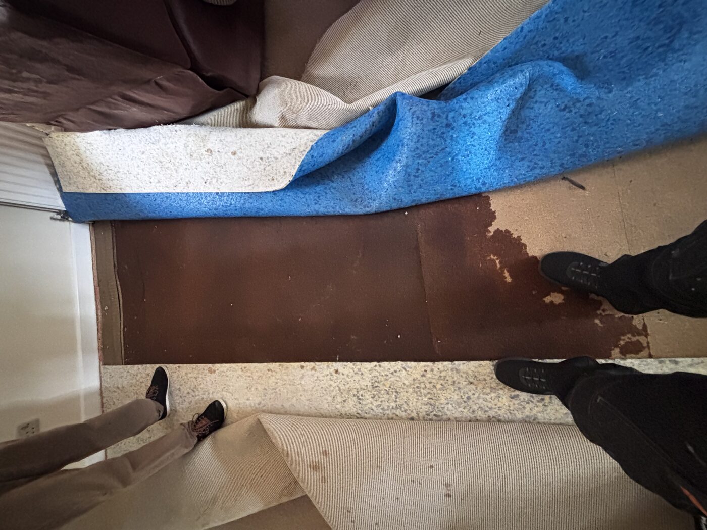 Carpet pulled back — water staining and damp visible on the subfloor surface