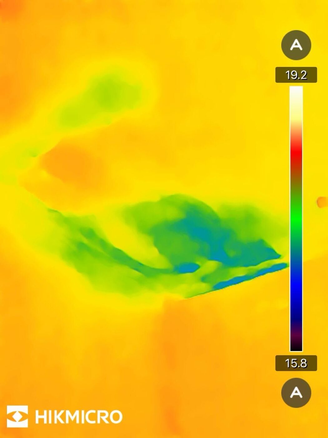 Thermal image: moisture spread mapped across ceiling — source traced upward