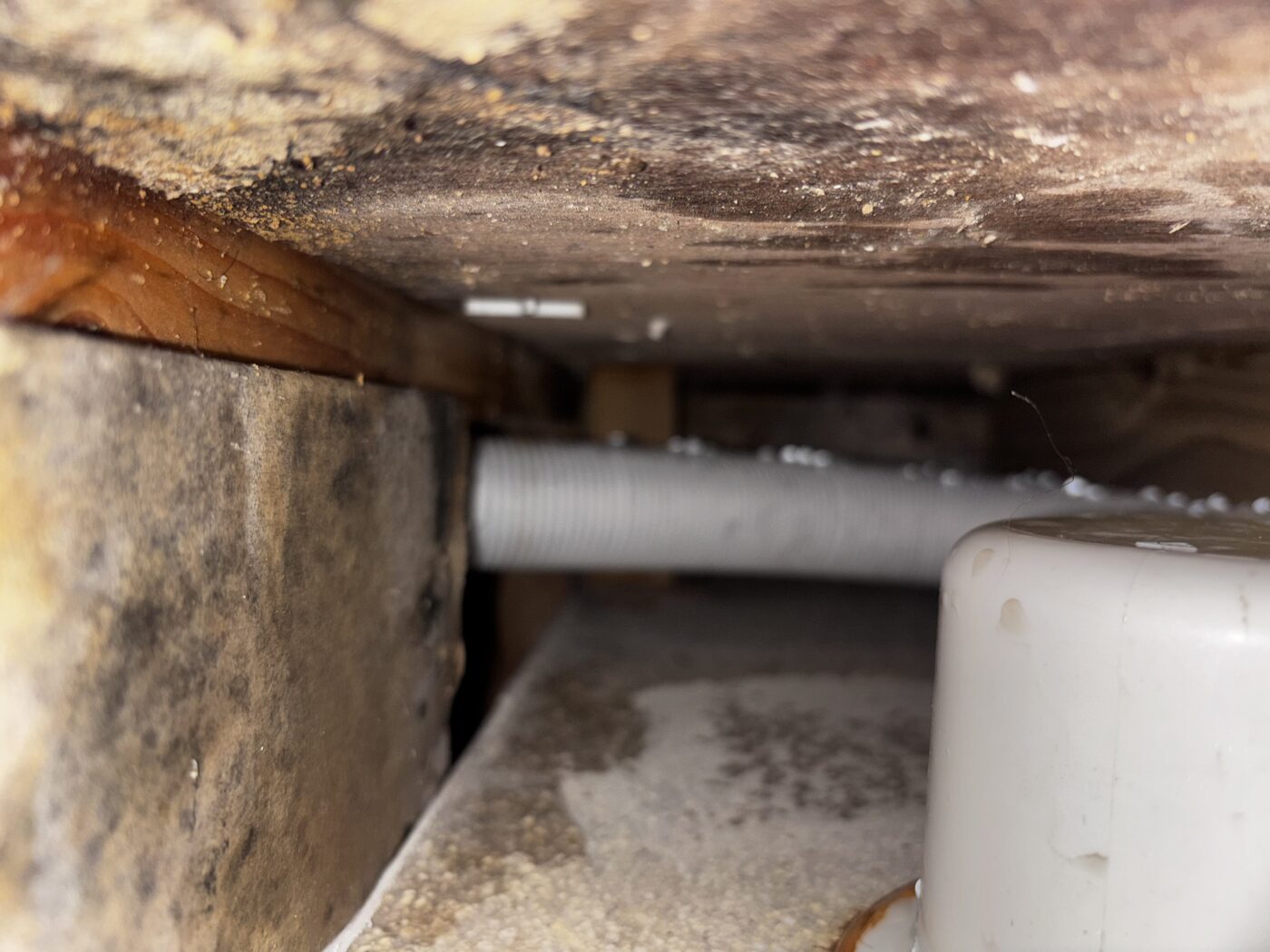 Camera fed through downlighter hole — water damage visible on subfloor below shower